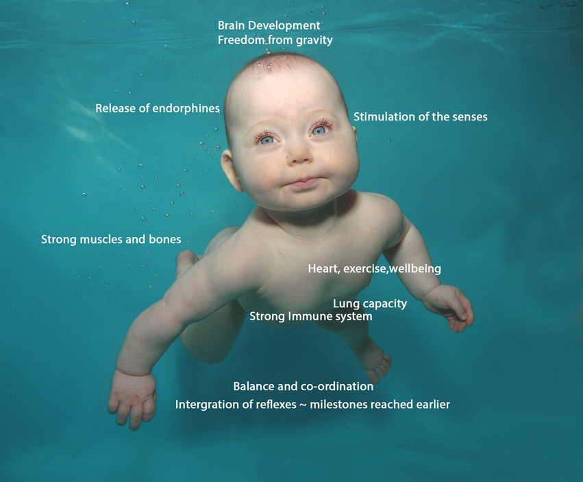 Caba Waterbabies Pic 1 - Lots of reasons to start them early Photography Tricia Ann Roy