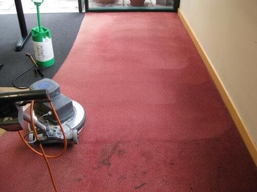 Carpet Cleaning In Hawthorn Pic 1