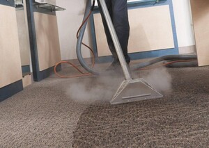 Carpet Cleaning In Hawthorn Pic 2