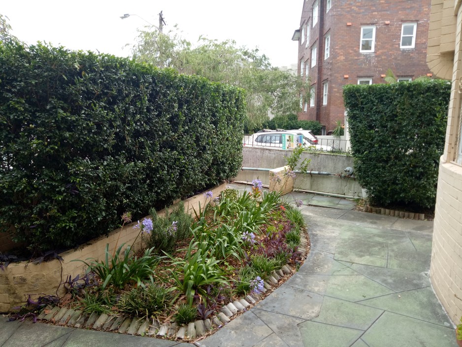 Advanced Home & Garden Services Pic 1 - hedge work