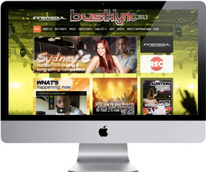 Pro Web Designs Pic 2