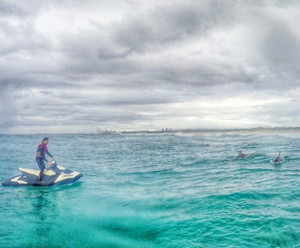 Jet Ski Gold Coast Pic 2 - Jet Ski Safari with Dolphins