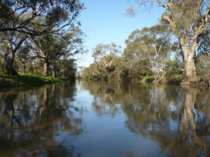 Clubhouse Hotel & Dining Pic 4 - View of the Lachlan River