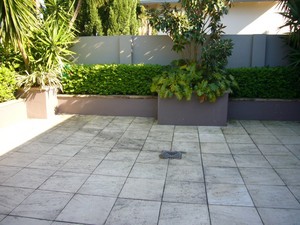 Sydney City Brick & High Pressure Cleaning Pic 2 - before cleaning with our high pressure rotary cleaner