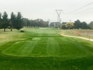 Gilba Solutions Pty Ltd Pic 3 - Apple SGL perennial ryegrass on a golf tee in Canberra