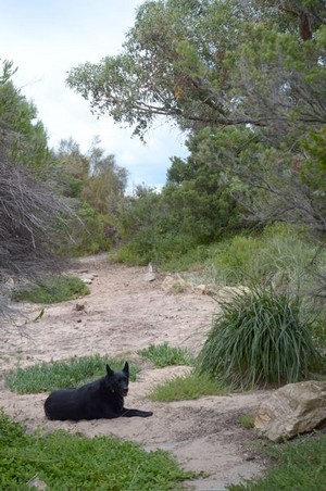 Dune Hideaway Pic 4