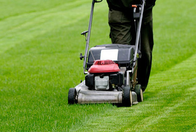 Epping Lawn Mowing Pic 1