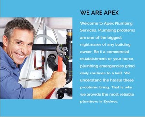 Apex Plumbing Solutions PL Pic 5