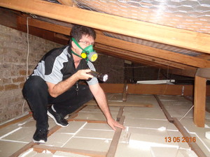 EZ Building and Pest Inspections Pic 2 - Structural Inspection Roof Frame Inspection