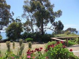 VARUNA Pic 2 - front deck view