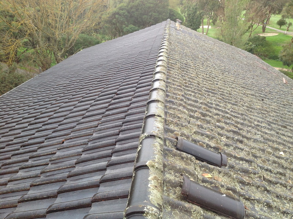 STORMPROOF ROOFING AND GUTTERING Pic 1