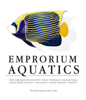 Silikon Graphics Pic 3 - Logo Design Emporium Aquatics