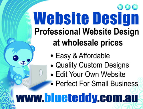 BlueTeddy Website Design & Development Pic 1