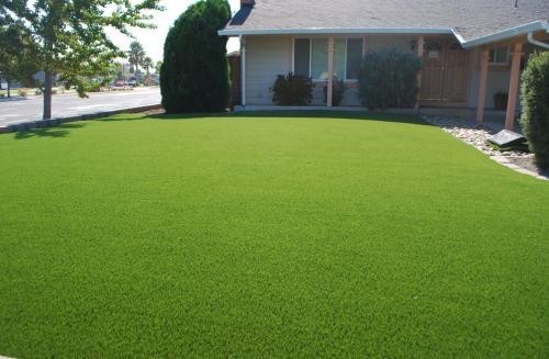 Supa Synthetic Grass Pic 1