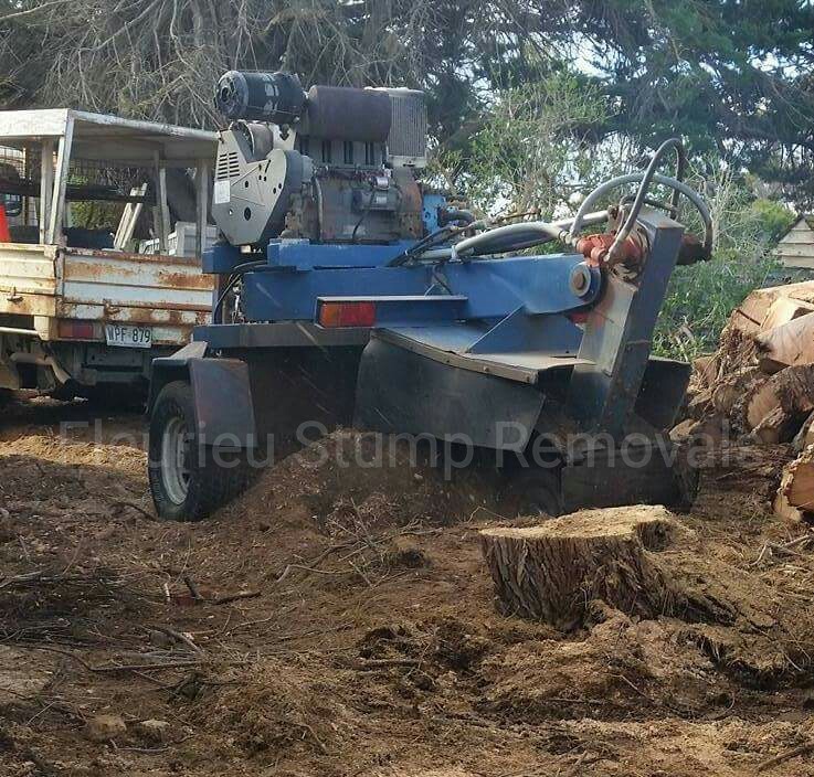 Fleurieu Stump Removals Pic 1 - Big Stump grinder hard at work