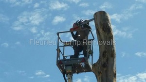 Fleurieu Stump Removals Pic 2 - 40 foot tower time