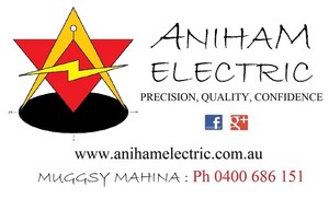 Aniham Electric Pic 3 - A new business with a fresh experience for you