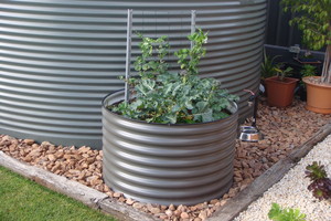 Dingo Water Tanks and Garden Innovations Pic 3