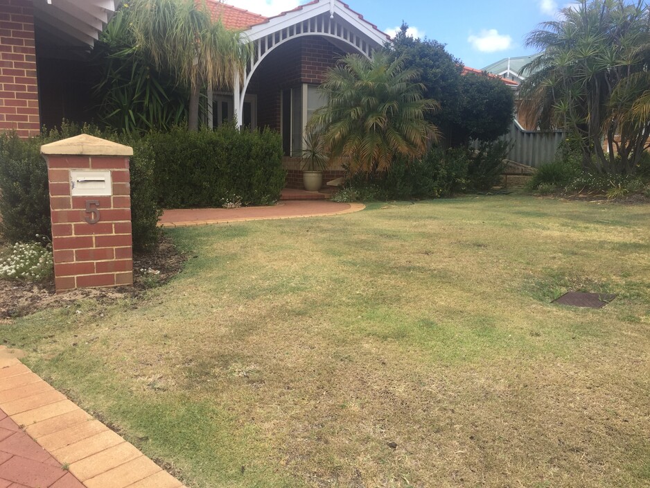 ECCO Landscaping & Vertimowing Pic 2 - Thomas front lawn Aprroximately 50 square metres