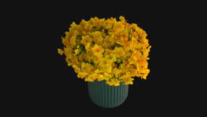 Createfulness Pic 4 - Fragrant Mass of Flowers in Ceramic Pot A7500 Including free local delivery