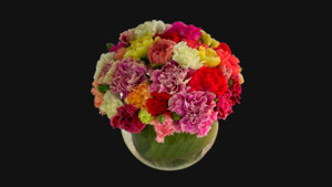 Createfulness Pic 5 - Beautiful Carnations in Glass Fishbowl A9000 Including free local delivery