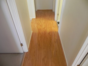 Global Bamboo Flooring Pic 3 - Bamboo Flooring Natural