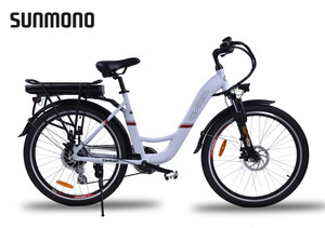 Sunmono E-bike Pic 4