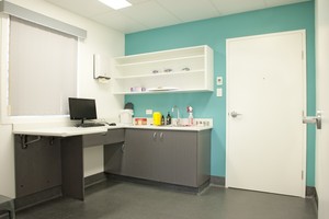 Edgeworth Animal Medical Centre Pic 2 - Consult room