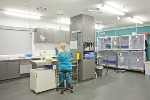 Edgeworth Animal Medical Centre Pic 3 - Treatment room