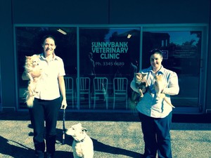 Sunnybank Veterinary Clinic Pic 3 - Michelle Vet and Mel Nurse with Softy Jaffa Snoopy and Milo left to right