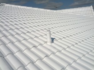 Alpha Roof Restoration Pic 3