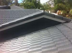 Alpha Roof Restoration Pic 4