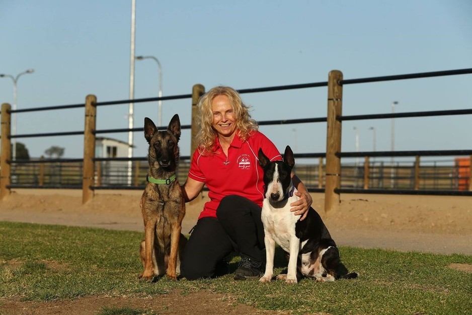 Cairns Dog Care and Training Pic 1 - My 2 lovely girls