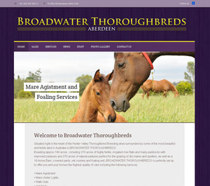 Total e Solutions Pic 5 - Portfolio Broadwater Thoroughbreds