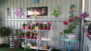 Myola Nursery Pic 4 - Chimescandles ect