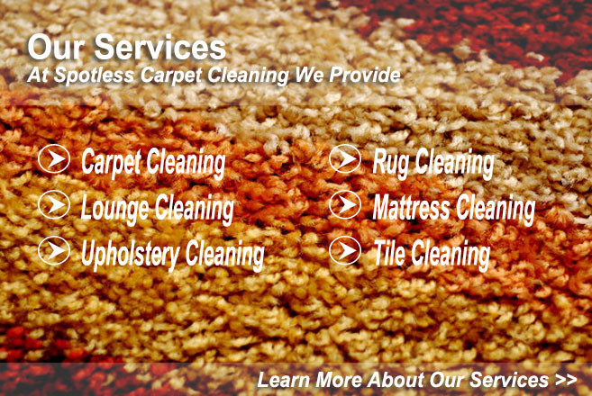 Spotless Carpet Cleaning Pic 2