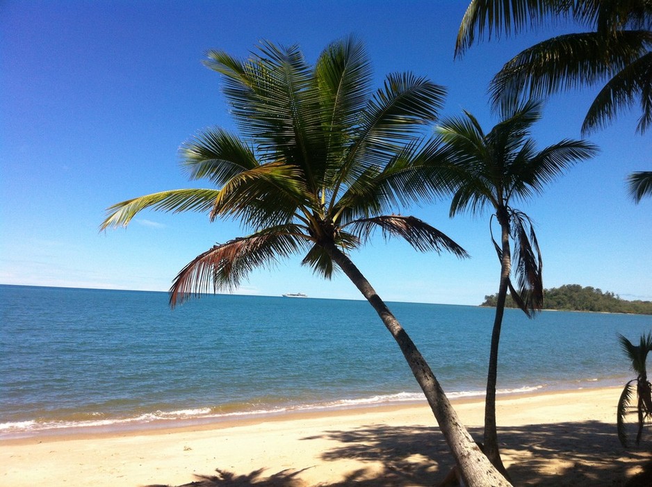 South Pacific BnB Clifton Beach Pic 1 - The Palm trees Clifton Beach are waiting for you