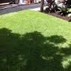 Allenview Turf Gold Coast Pic 5 - Turf Supplies