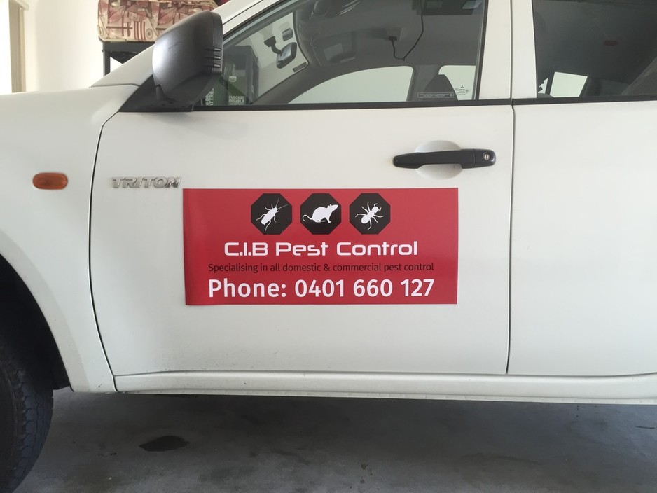 C.I.B Pest Control Pic 1 - Maybe you have seen us driving around