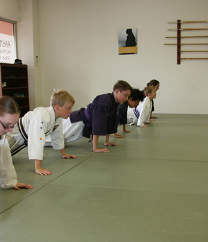 West Coast Aikido Martial Arts Academy Pic 2 - Aikido Fit body strong mind and unbreakable spirit