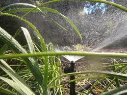 Brisbane Irrigation Systems Pic 2 - Garden Mircos