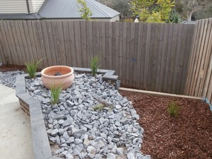 Longevity Landscaping Pic 4