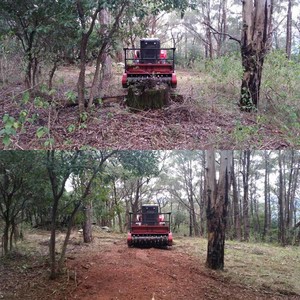 Sustainable Land Clearing Solutions Pic 2