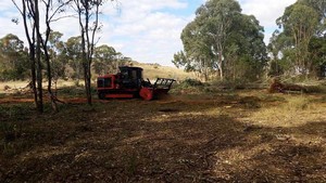 Sustainable Land Clearing Solutions Pic 4