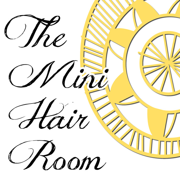 The Mini Hair Room Pic 1