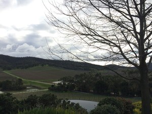 De Bortoli Yarra Valley Estate Pic 5 - View from winery