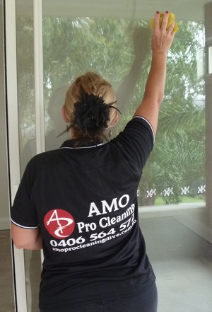 AMO Pro Cleaning Pic 2