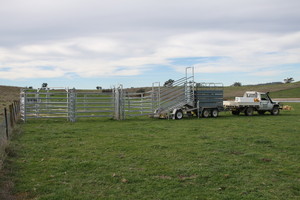 Busymen Cattle Yard Hire Pic 3