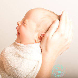 Chapter One Photography Pic 3 - Newborn Photography Sydney