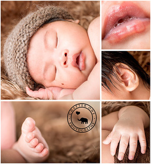 Chapter One Photography Pic 4 - Newborn Photography details